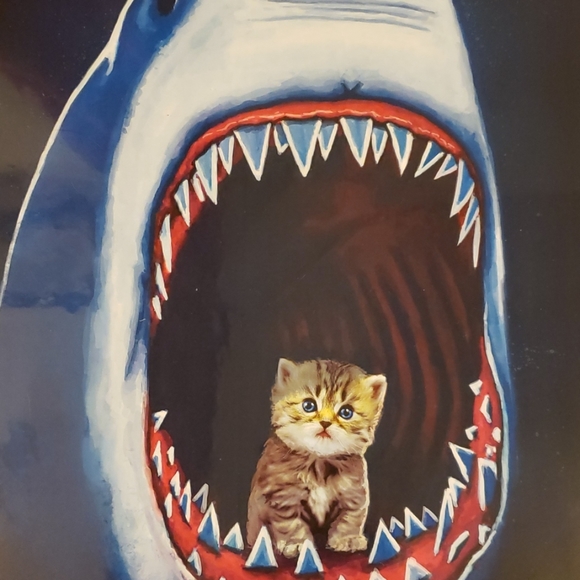 Too Fast Meows 11" x 17" Kitten Riding in Shark Mouth Nautical Tattoo Art Print - Picture 3 of 8